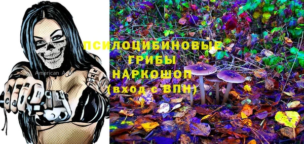 крисы Алексеевка