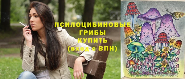 амф Алзамай