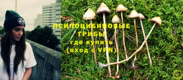 крисы Алексеевка