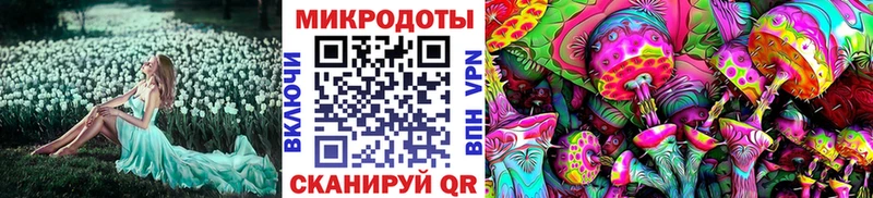 Галлюциногенные грибы Psilocybe  Неман 