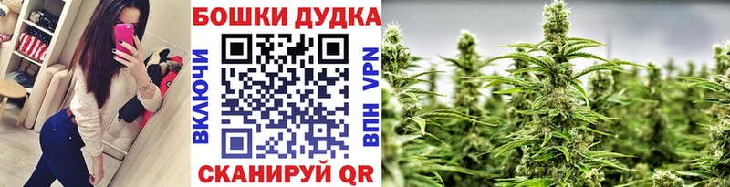 мега как зайти  Неман  Шишки марихуана индика 